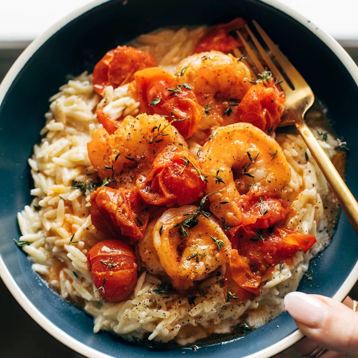 Garlic Shrimp and Tomatoes with Parmesan Orzo Recipe